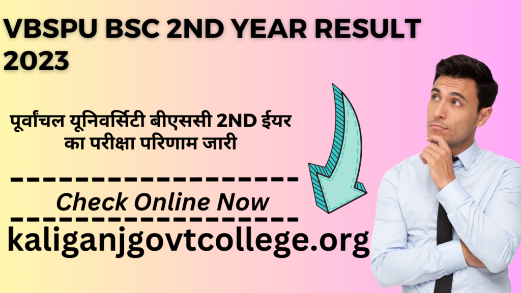 VBSPU BSC 2nd Year Result 2023 